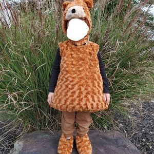 Teddy Bear Brown Bear Toddler Halloween Costume